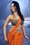 Tamanna Stills 2368