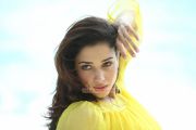 Tamanna Stills 2889