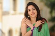 Tamanna Stills 340