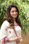 Tamanna Stills 6409