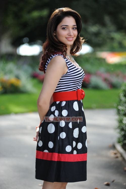 Tamanna Stills 7950