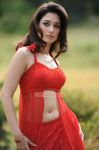 Tamanna Stills 886