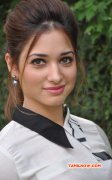 Tamanna Tamil Heroine Jul 2015 Picture 3186