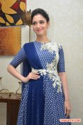 Tamil Actress Tamanna 2437