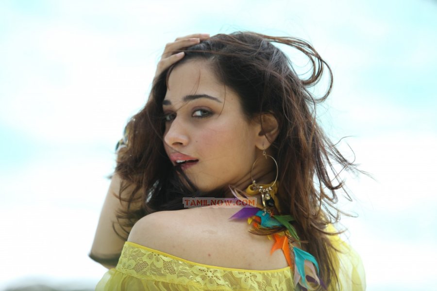 Tamil Actress Tamanna 7114