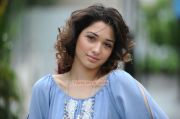 Tamil Actress Tamanna 7385