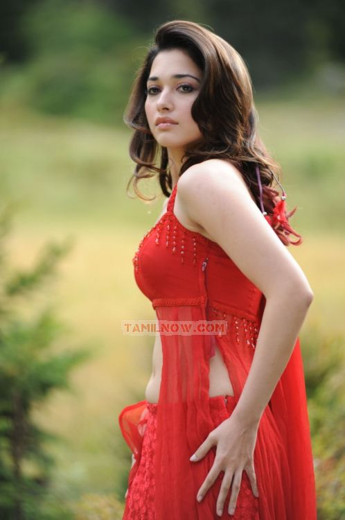 Tamil Actress Tamanna 7687