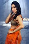 Tamil Actress Tamanna 7974