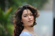 Tamil Actress Tamanna 9691