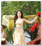 Thamanna Still 6