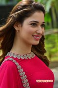 2015 Galleries Tamannah Film Actress 3069