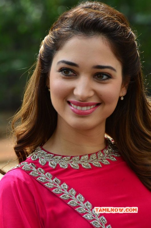 2015 Gallery Tamannah Tamil Heroine 9843