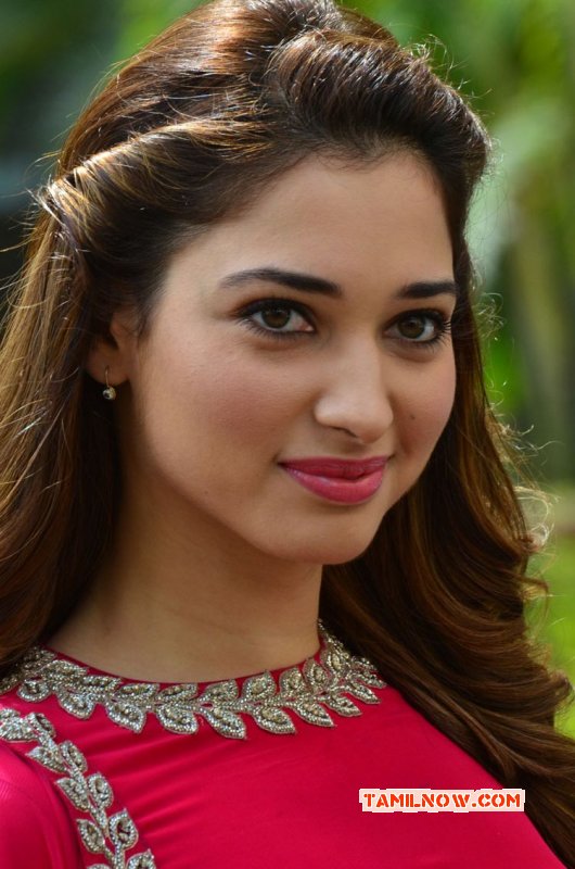 2015 Picture Film Actress Tamannah 2463