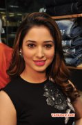 2015 Picture Tamannah Tamil Movie Actress 8600