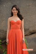 2016 Galleries Heroine Tamannah 2921