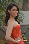 2016 Picture Tamannah Indian Actress 5140