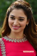 Album Tamil Movie Actress Tamannah 7696