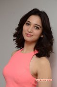 Apr 2016 Stills Heroine Tamannah 2508