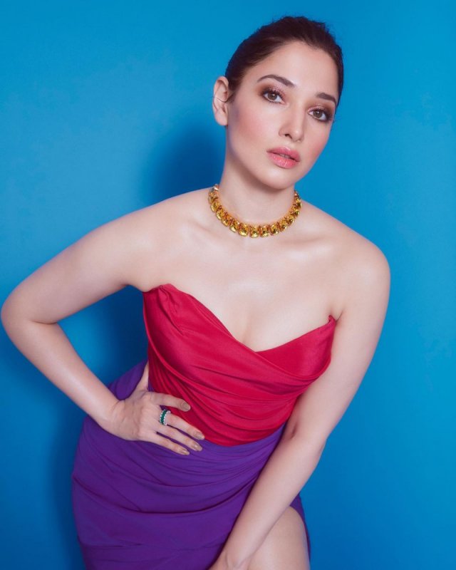 Movie Actress Tamannah 2021 Photo 7049