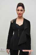 New Galleries Tamannah Cinema Actress 1769