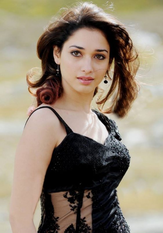 Recent Album Tamannah Movie Actress 8978