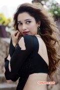 Tamannah Movie Actress Photo 5744