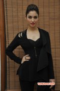 Tamannah South Actress Latest Photo 7522