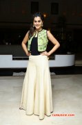 2015 Images Tapsee Pannu Tamil Heroine 1465