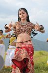 Actress Tapsee Pannu 8224