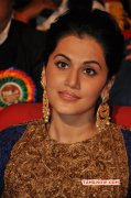 Heroine Tapsee Pannu Latest Image 2248