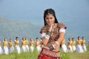 Tamil Actress Tapsee Pannu 105