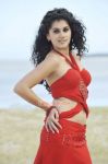 Tamil Actress Tapsee Pannu 2515