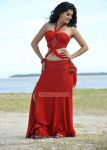 Tamil Actress Tapsee Pannu 4302