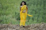 Tamil Actress Tapsee Pannu 5074