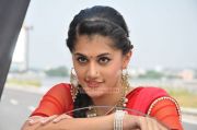 Tamil Actress Tapsee Pannu 6084