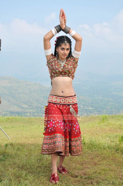 Tamil Actress Tapsee Pannu 6295