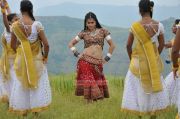 Tamil Actress Tapsee Pannu 6393