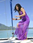 Tamil Actress Tapsee Pannu 9862