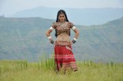 Tamil Actress Tapsee Pannu 999