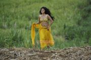 Tamil Actress Tapsee Pannu Photos 2834