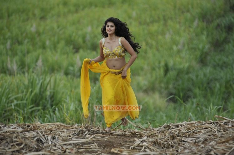 Tamil Actress Tapsee Pannu Photos 2834