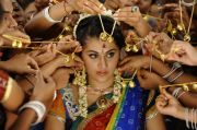 Tamil Actress Tapsee Pannu Photos 5882