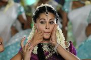 Tamil Actress Tapsee Pannu Stills 2508