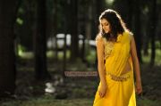 Tamil Actress Tapsee Pannu Stills 3597
