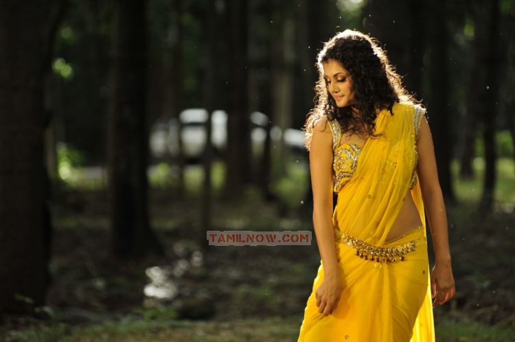 Tamil Actress Tapsee Pannu Stills 3597
