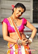 Tamil Movie Actress Tapsee Pannu Gallery 8090