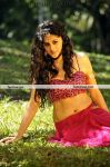 Tapsee Hot New Pictures 6