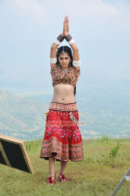 Tapsee Pannu 1337