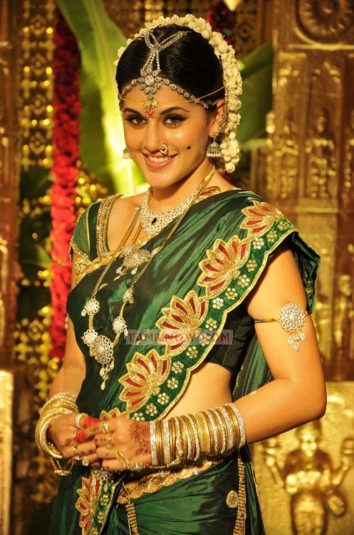 Tapsee Pannu 2189