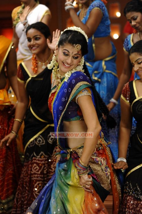 Tapsee Pannu 2465